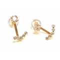 Earrings Gold Ear-jacket