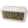 Alarm JM JD9519