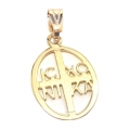 Pendant Gold K14