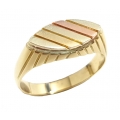 Δαχτυλίδι Ανδρικό Χρυσό Κ14  "Χρώματα χρυσού"
