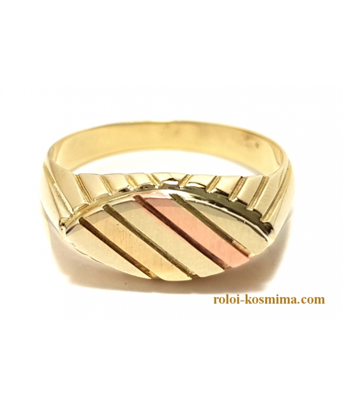 Δαχτυλίδι Ανδρικό Χρυσό Κ14  "Χρώματα χρυσού"