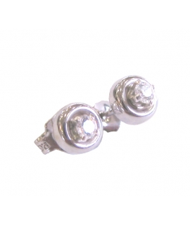 Earrings Whitegold K14 