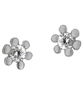 Earrings Whitegold K18 with Diamonds