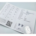 Earrings Whitegold K18 with Diamonds