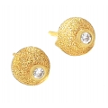 Earrings gold K14