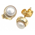 Earrings gold K14 with pearls 4mm