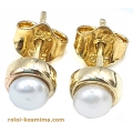 Earrings gold K14 with pearls 4mm