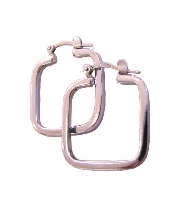 Earings hoop whitegold K14 