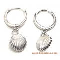 Earrings Silver