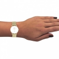 OOZOO C20241 Vintage