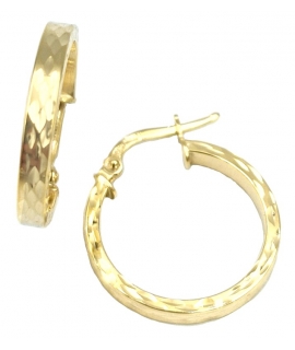 Earrings hoop gold K9