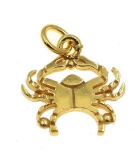 Zodiac Sign Gold K14 'Fishes'