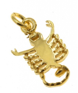 Zodiac Sign Gold K14 'Fishes'
