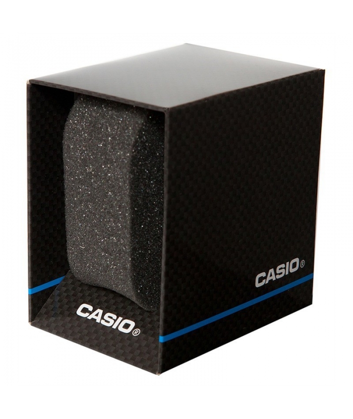 CASIO MTD-1053D-2AVES Stainless Steel