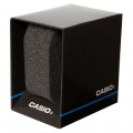 CASIO MTD-1053D-2AVES Stainless Steel