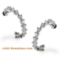 Earrings hoop Silver