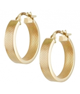 Earrings hoop gold K14