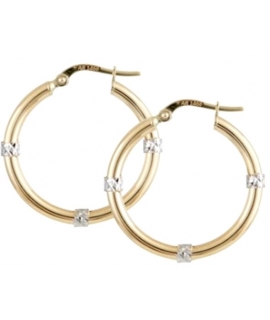 Earrings hoop gold K14 twin color