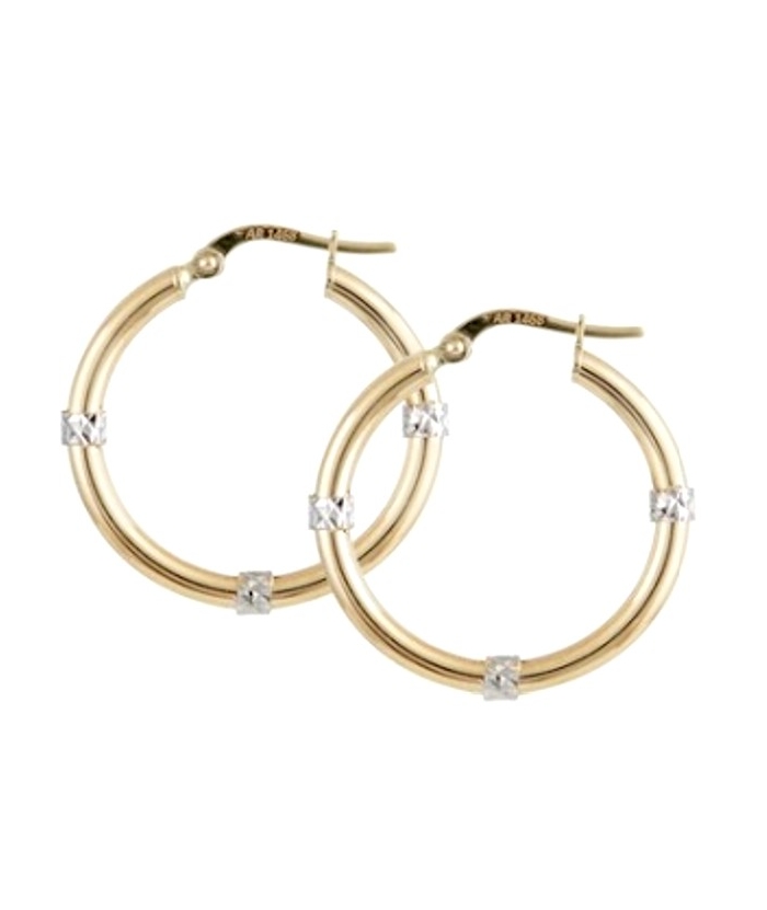 Earrings hoop gold K14 twin color