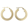 Earrings hoop gold K14
