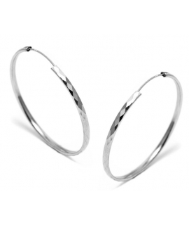 Earrings hoop Silver