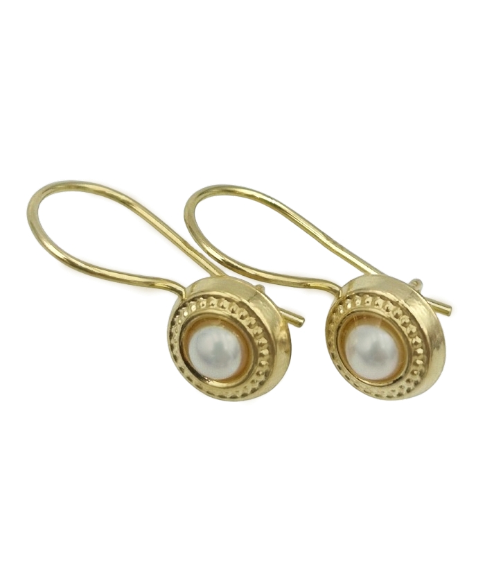 Earrings gold K9