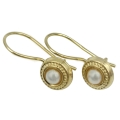Earrings gold K9