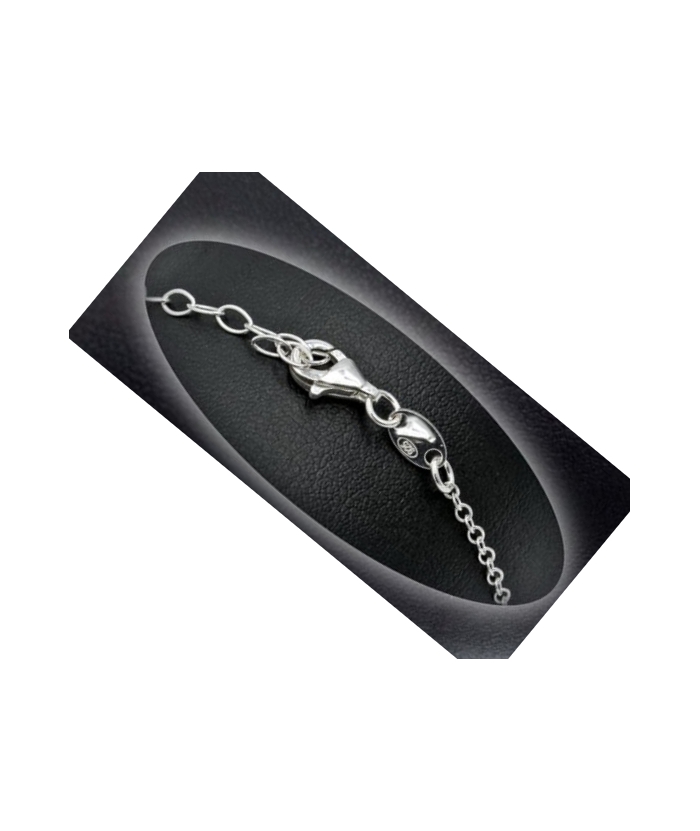 Necklace Silver Heart shiny