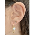 Earrings hanging gold Pearls