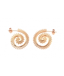 Earrings Silver Rosegold 2