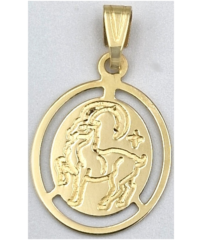 Zodiac Sign Gold K14 Capricorn