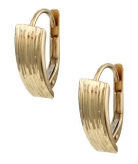 Earrings hoop gold K14 