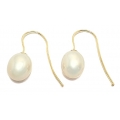 Earrings hanging gold Pearls