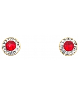 Earrings gold K14 Rosette Mini rubin