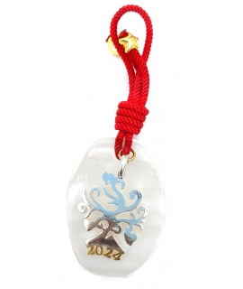 Silver Charm Key