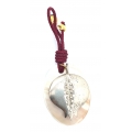 Silver Charm