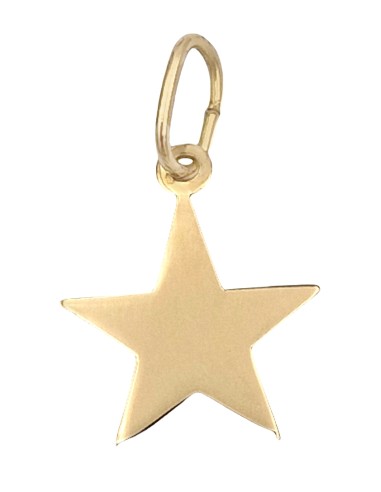 Pendant Gold Κ14 Star