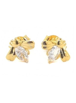 Earrings Silver 925° 2