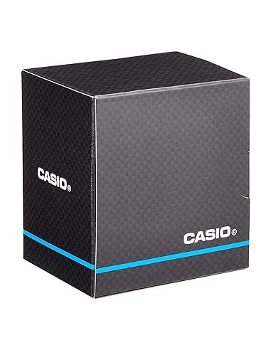 CASIO LTP-1303D-7B Ladies Stainless Steel