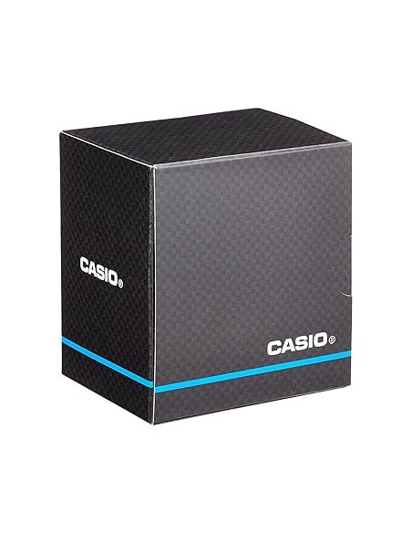 CASIO LTP-1303D-7B Ladies Stainless Steel