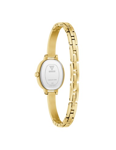 GUESS GW0924L2 Penelope