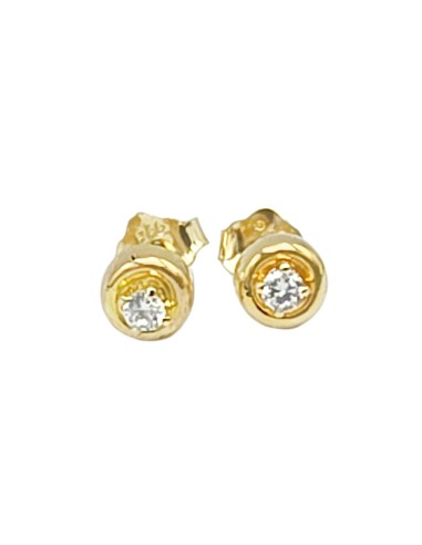 Earrings gold K14