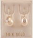 Earrings hanging gold Pearls